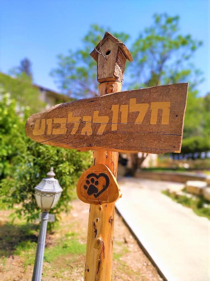 חלון לגלבוע צימר בוטיק בעמק המעיינות Bet Alfa エクステリア 写真