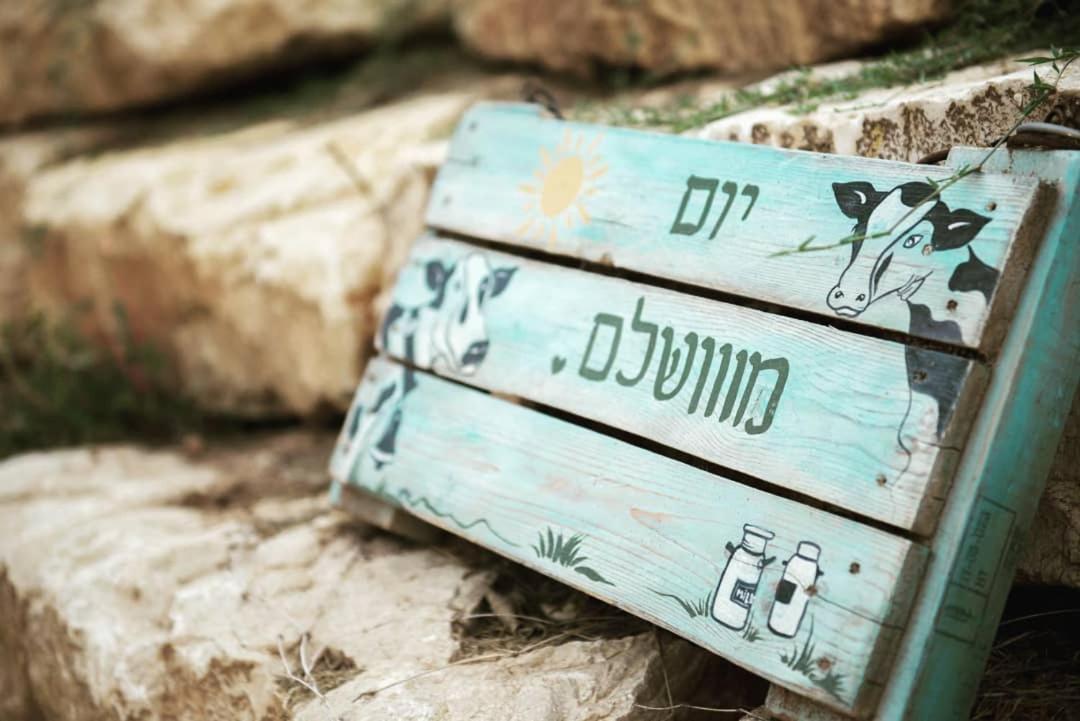חלון לגלבוע צימר בוטיק בעמק המעיינות Bet Alfa エクステリア 写真